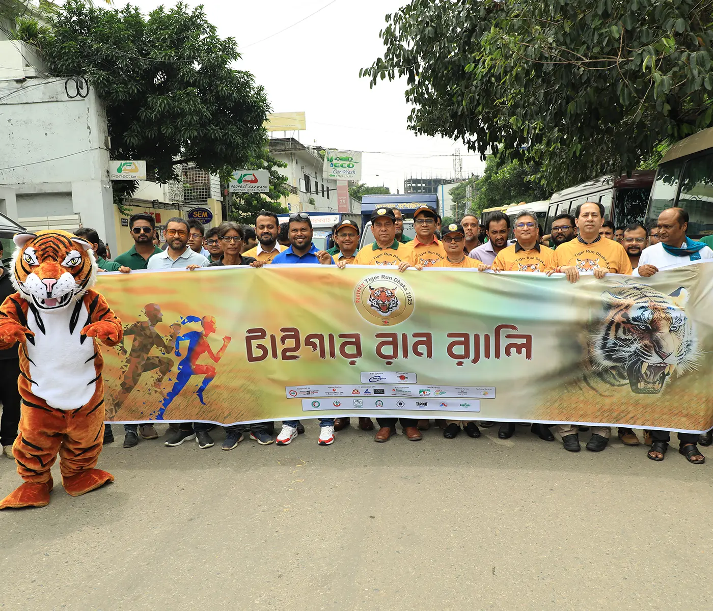 Majestic Tiger Close-up